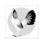 Gamecock: Hennie Permastempel (Design)