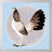 Gamecock: Hennie Poster (Vorne)