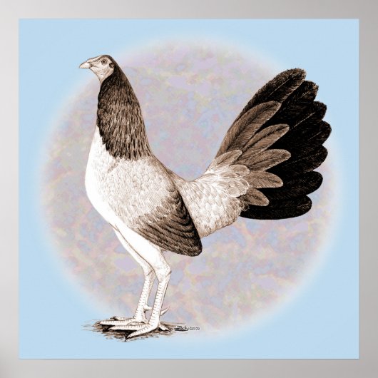 Gamecock: Hennie Poster (Vorne)