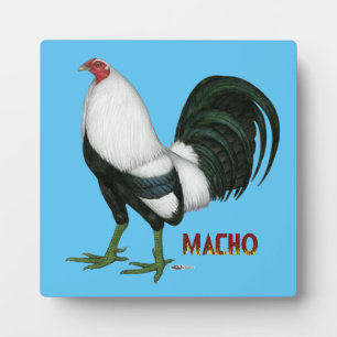 Gamecock Macho Duckwing Fotoplatte