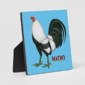 Gamecock Macho Duckwing Fotoplatte (Vorderseite)