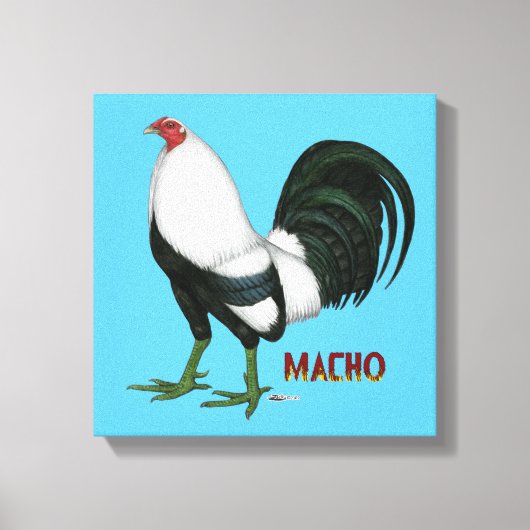 Gamecock Macho Duckwing Leinwanddruck (Vorderseite)