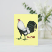 Gamecock Macho Duckwing Postkarte (Stehend Vorderseite)