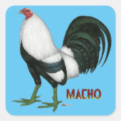 Gamecock Macho Duckwing Quadratischer Aufkleber (Vorderseite)