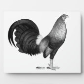 Gamecock Red Hatch Fotoplatte (Vorderseite)