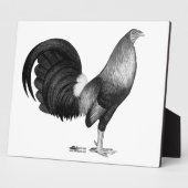 Gamecock Red Hatch Fotoplatte (Seite)