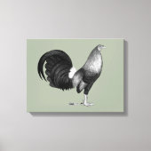 Gamecock Red Hatch Leinwanddruck (Vorderseite)