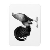 Gamecock Red Hatch Magnet (Vertikal)