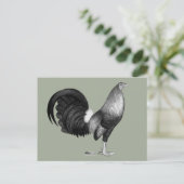 Gamecock Red Hatch Postkarte (Stehend Vorderseite)