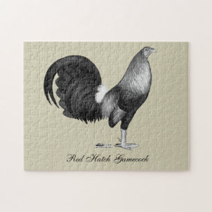 Gamecock Red Hatch Puzzle