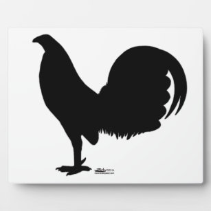 Gamecock Rooster-Silhouette Fotoplatte