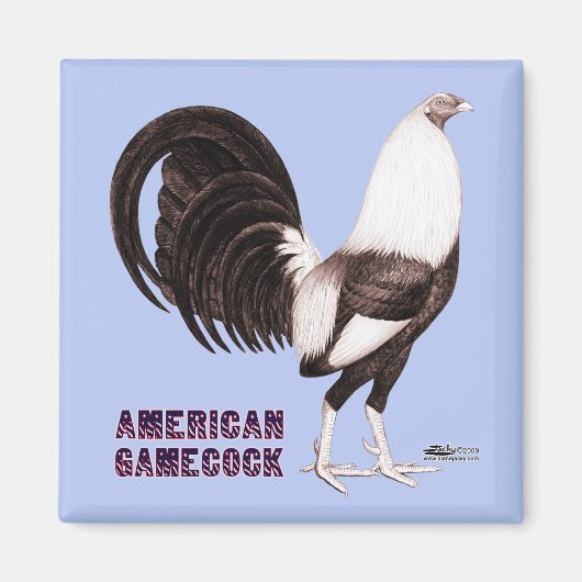 Gamecock Sepia Magnet (Vorne)