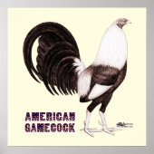 Gamecock Sepia Poster (Vorne)