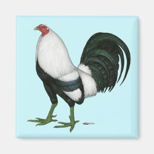 Gamecock Silver Duckwing Magnet
