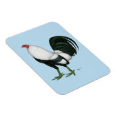 Gamecock Silver Duckwing Magnet (Rechte Seite)