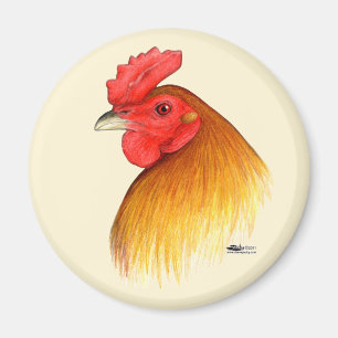 Gamecock Stag Pea Comb Magnet