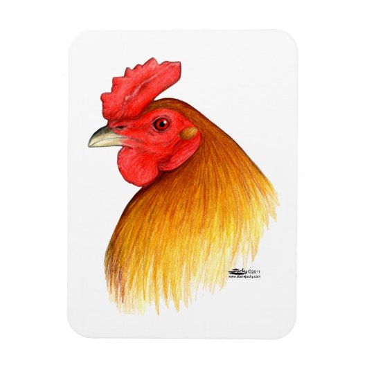 Gamecock Stag Pea Comb Magnet (Vertikal)