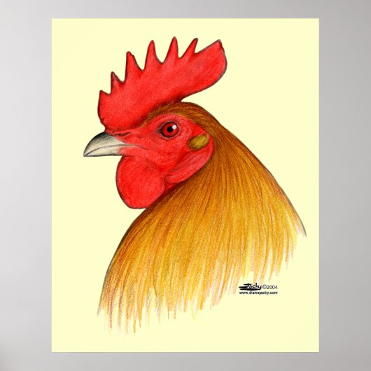 Gamecock Stag Single Comb Poster (Vorne)