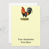 Gamecock Wheaten Einladung (Vorne/Hinten)