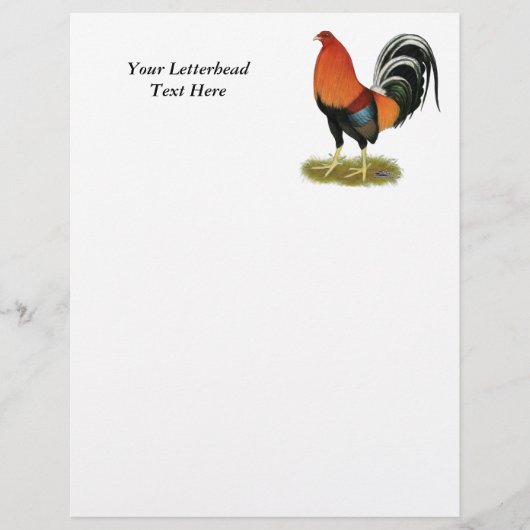 Gamecock Wheaten Rooster (Vorderseite)