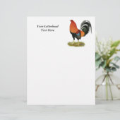 Gamecock Wheaten Rooster (Stehend Vorderseite)