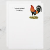 Gamecock Wheaten Rooster (Vorne/Hinten)