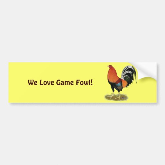 Gamecock Wheaten Rooster Autoaufkleber (Vorne)
