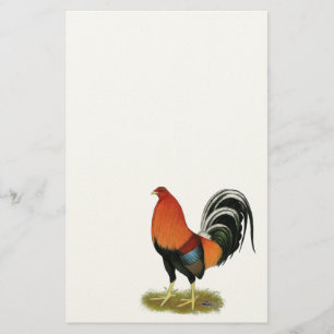 Gamecock Wheaten Rooster Briefpapier