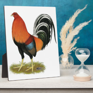 Gamecock Wheaten Rooster Fotoplatte