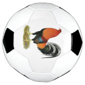 Gamecock Wheaten Rooster Fußball (Gedreht)