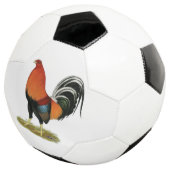 Gamecock Wheaten Rooster Fußball (Dreiviertel)
