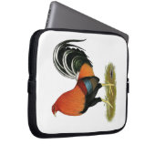 Gamecock Wheaten Rooster Laptopschutzhülle (Vorne Rechts)