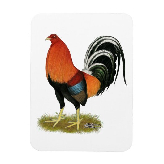 Gamecock Wheaten Rooster Magnet (Vertikal)