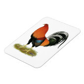 Gamecock Wheaten Rooster Magnet (Linke Seite)