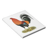 Gamecock Wheaten Rooster Notizblock (angewinkelt)
