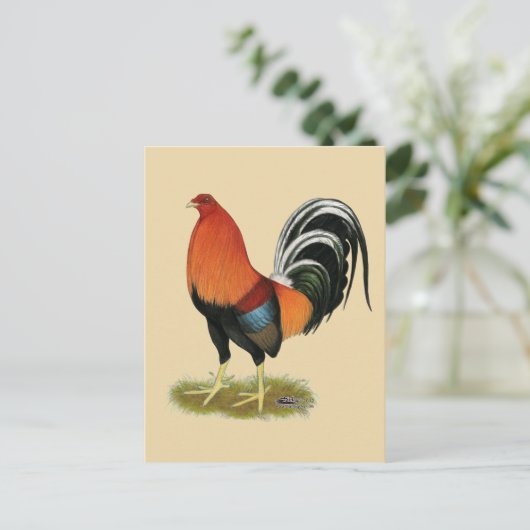 Gamecock Wheaten Rooster Postkarte (Stehend Vorderseite)