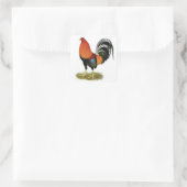 Gamecock Wheaten Rooster Quadratischer Aufkleber (Tasche)