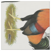 Gamecock Wheaten Rooster Stoff (Nahaufnahme)