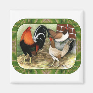 Gamefowl im Betrieb Magnet
