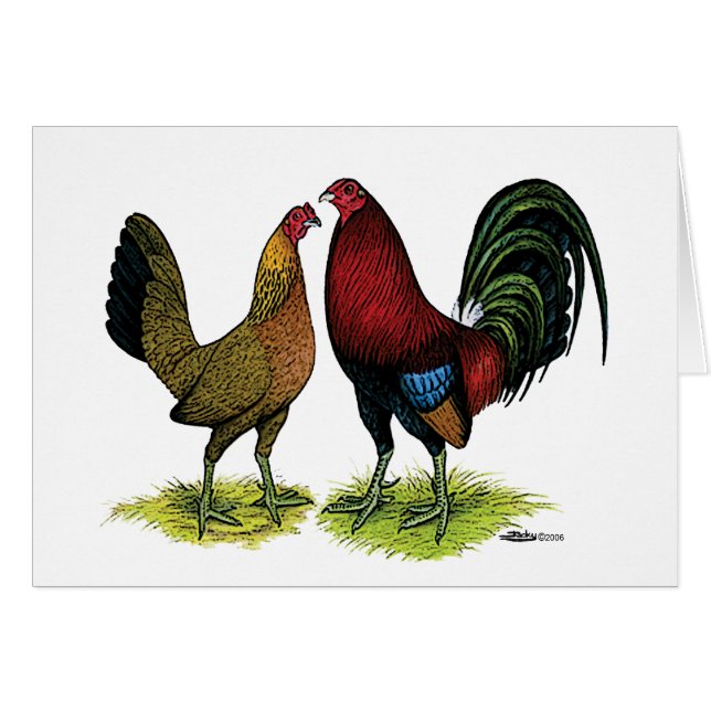 Gamefowl Pair (Vorderseite (Horizontal))