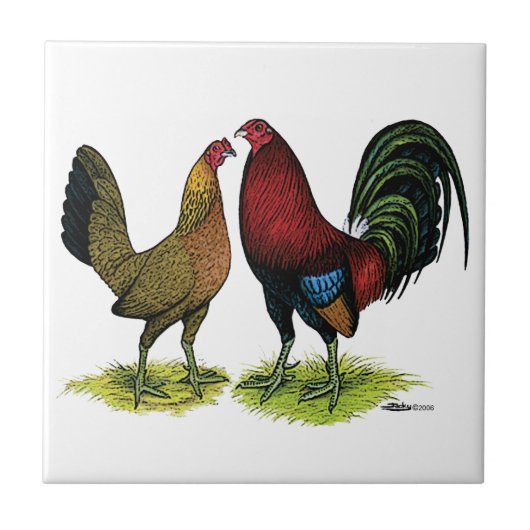 Gamefowl Pair Fliese (Vorderseite)