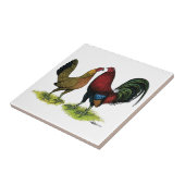 Gamefowl Pair Fliese (Seite)