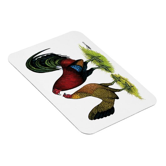Gamefowl Pair Magnet (Rechte Seite)