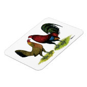 Gamefowl Pair Magnet (Linke Seite)