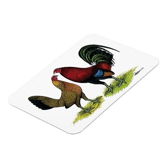 Gamefowl Pair Magnet (Linke Seite)