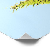 Gamefowl Pair Poster (Ecke)