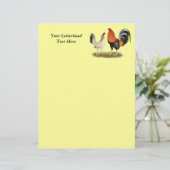 Gamefowl Wheatens (Stehend Vorderseite)