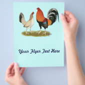 Gamefowl Wheatens Flyer (Hand)