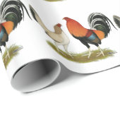 Gamefowl Wheatens Geschenkpapier (Rolleneckpunkt)