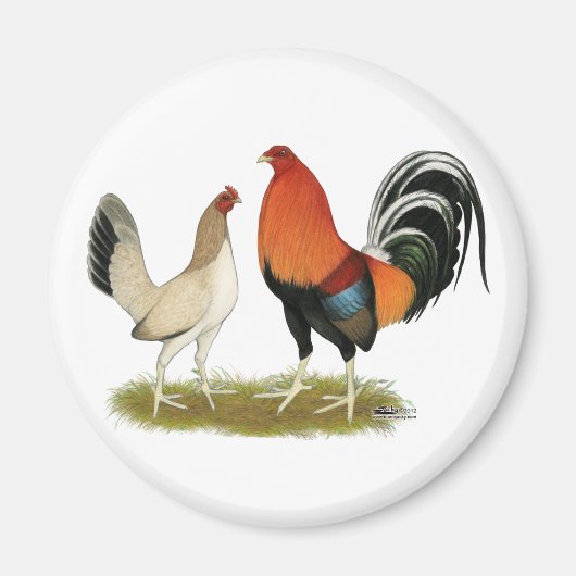 Gamefowl Wheatens Magnet (Vorne)